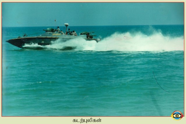 Sea Tigers
