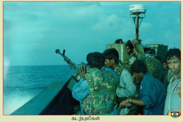 Sea Tigers
