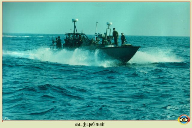 Sea Tigers