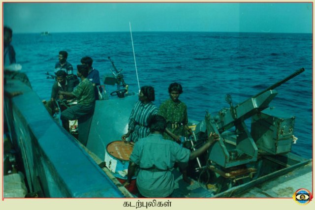 Sea Tigers
