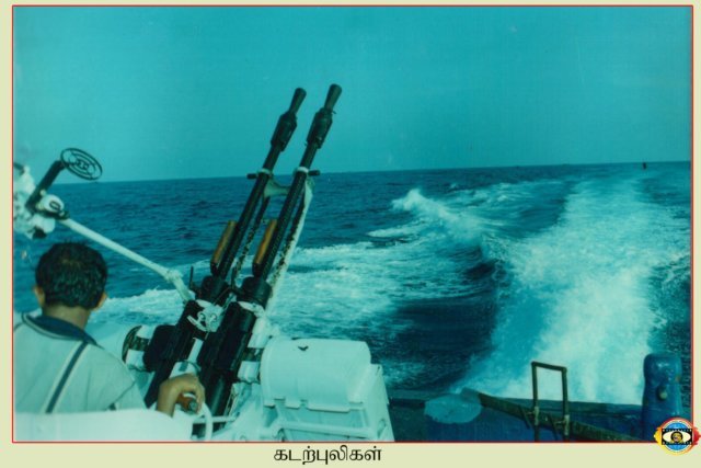 Sea Tigers