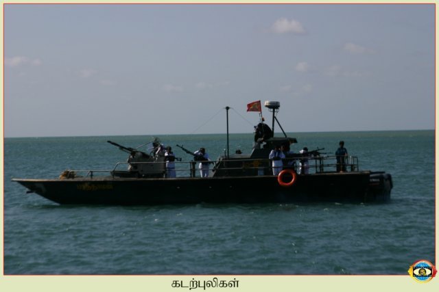Sea Tigers