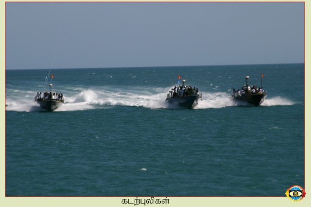 Sea Tigers