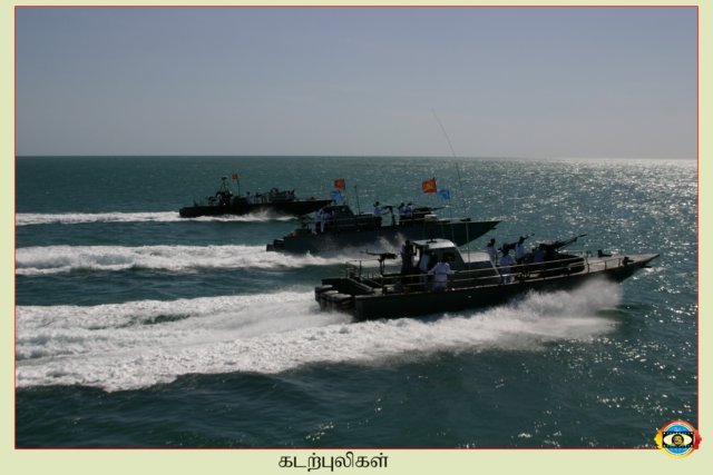 Sea Tigers