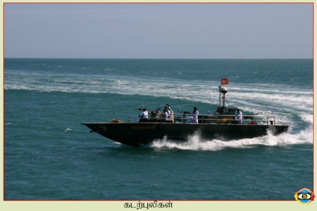 Sea Tigers