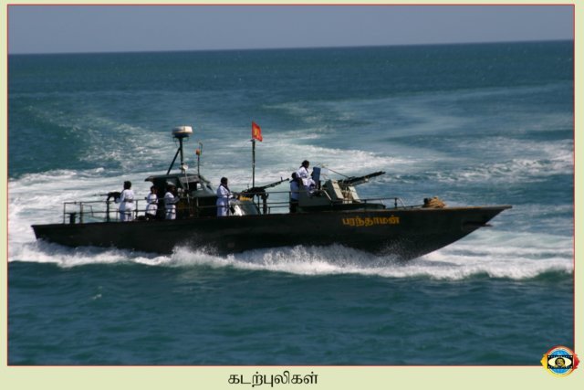 Sea Tigers