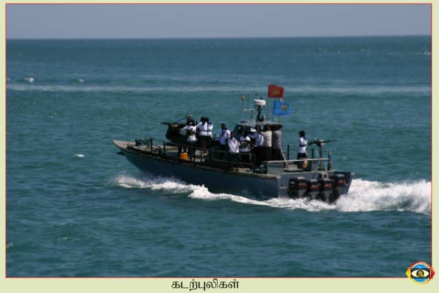 Sea Tigers