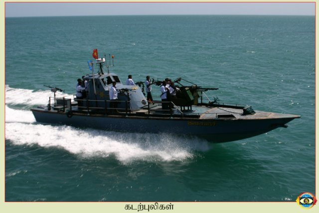 Sea Tigers