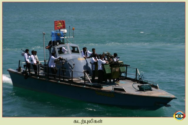 Sea Tigers