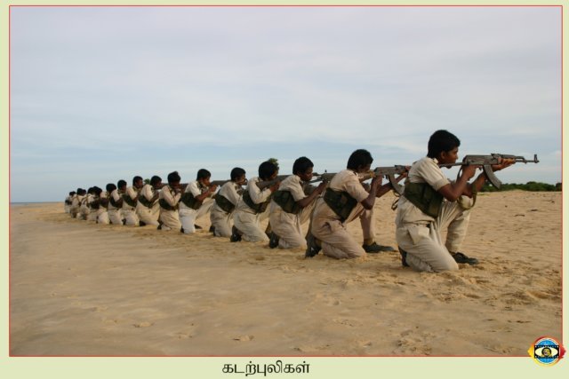 Sea Tigers