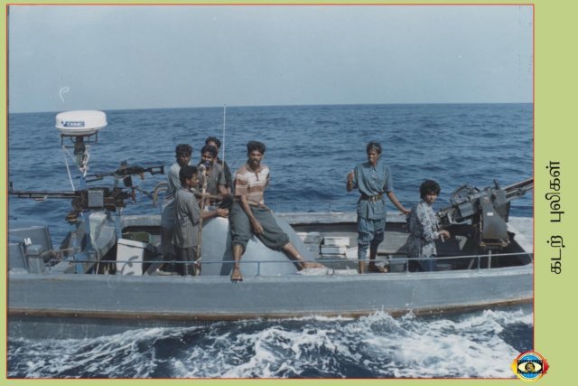 Sea Tigers