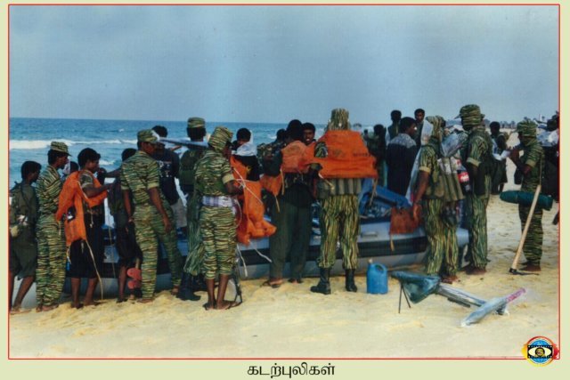 Sea Tigers