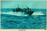 Sea Tigers