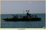 Sea Tigers