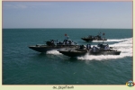 Sea Tigers