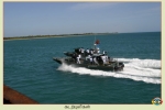 Sea Tigers