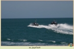 Sea Tigers