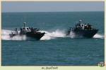 Sea Tigers