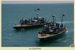 Sea Tigers