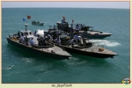 Sea Tigers