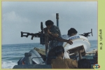 Sea Tigers