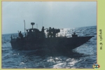 Sea Tigers