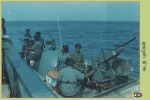 Sea Tigers
