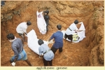 Mullaitheevu