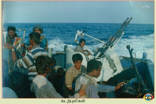 Sea Tigers