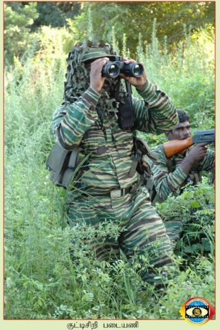 Motar Regiment