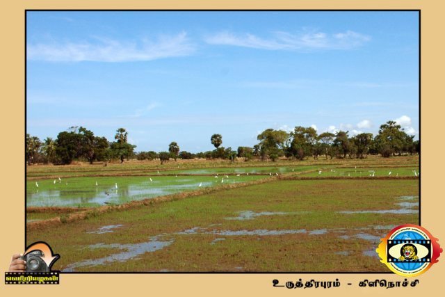 Vettiyalagan