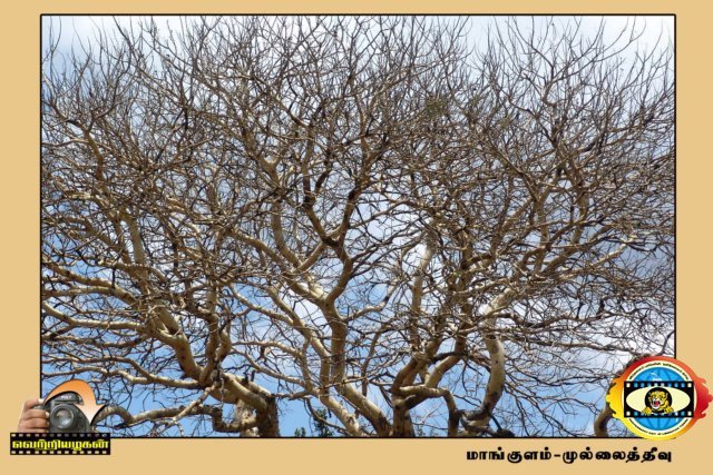 Vettiyalagan