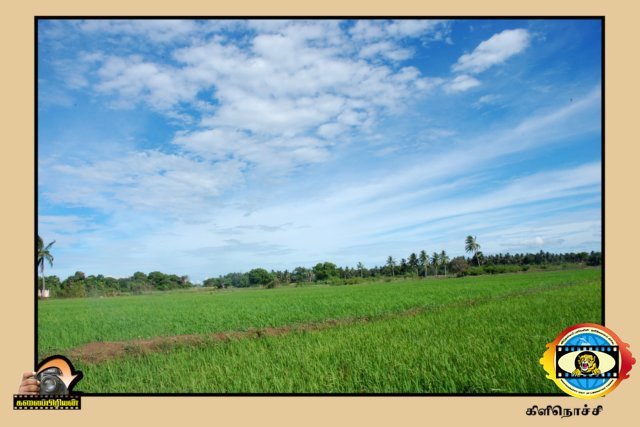 Kalaipriyan