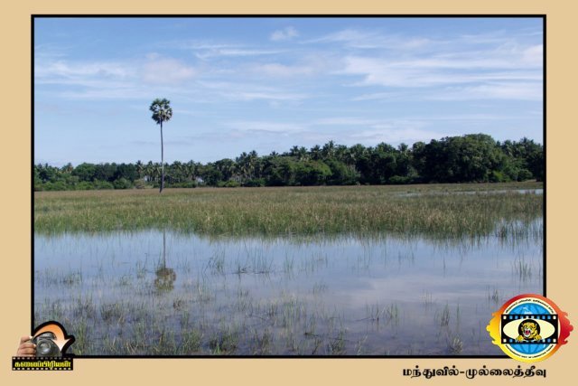 Kalaipriyan