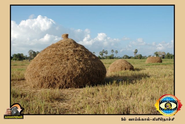 Kalaipriyan