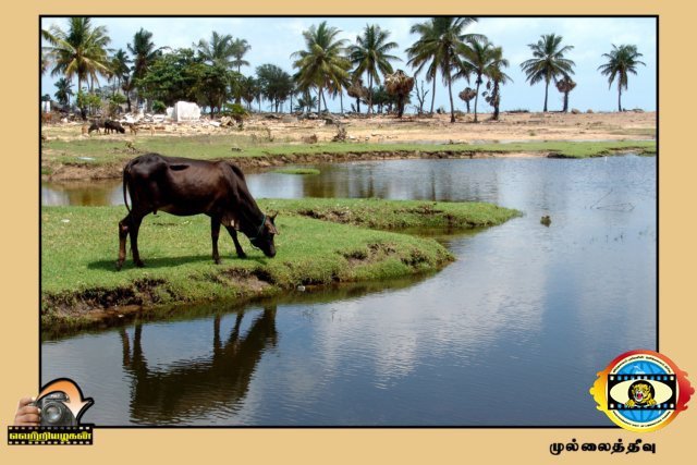 Vettiyalagan