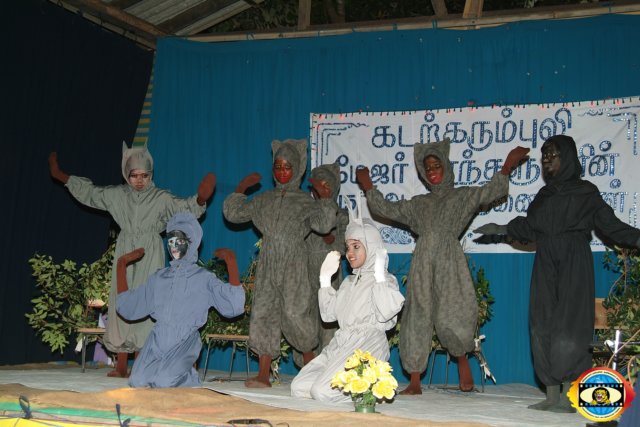 Nilal Cholai