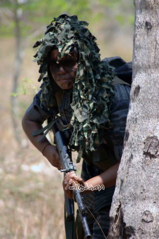 Black Tigers