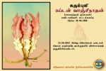 Capt. Vaanchinaathan