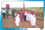 மன்னார்