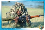 Special Commandos