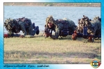 Special Commandos