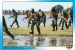 Special Commandos