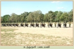 Motorbike Brigade
