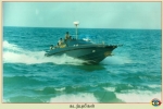 Sea Tigers