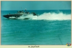 Sea Tigers