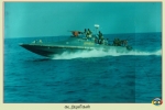 Sea Tigers