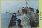 Sea Tigers