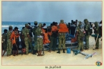 Sea Tigers