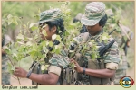 Sothiya Regiment